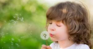 The Ultimate Allergy Season Survival Guide
