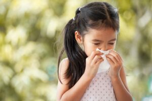 Understanding the differences between a cold and an allergy Understanding the differences between a cold and an allergy